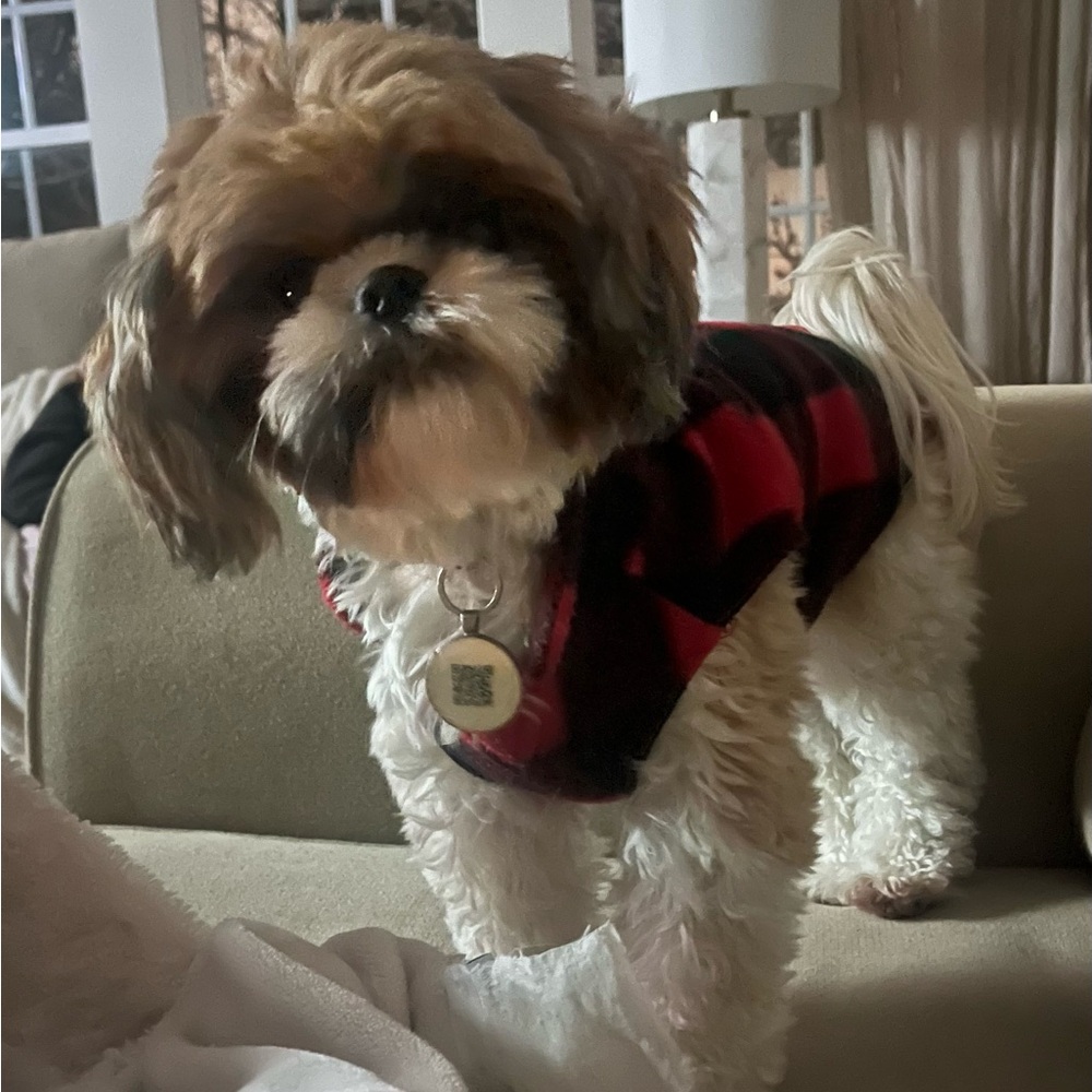 Meet your Posher, Dianne